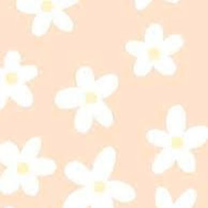 Meet your Posher, Cambria